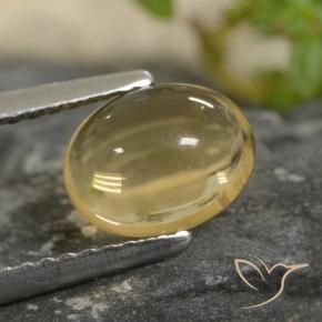 Citrino Dorado claro natural de 1.47 ct, Ovalada, Transparente