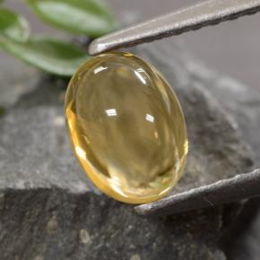 Citrino dorado natural de 1,07 ct, corte óvalo, transparente