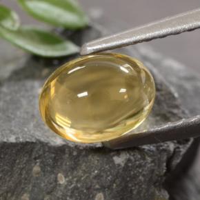 Citrino dorado natural de 1,07 ct, corte óvalo, transparente