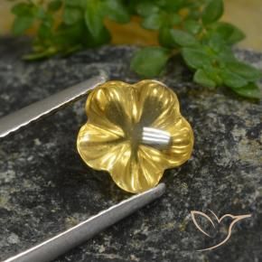 Citrino Amarillo púrpura natural de 1.67 ct, Corte Flor, Transparente