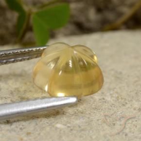 Citrino Amarillo miel natural de 1.76 ct, Corte Flor, Transparente