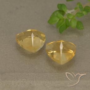 Gemas de Citrino Dorado natural de 1.46 ct, Trillón, VVS-VS