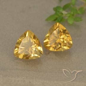 Gemas de Citrino Dorado oscuro natural de 1.46 ct, Trillón, VVS-VS