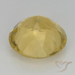 Citrino Dorado natural de 5.71 ct, Redondo, VVS