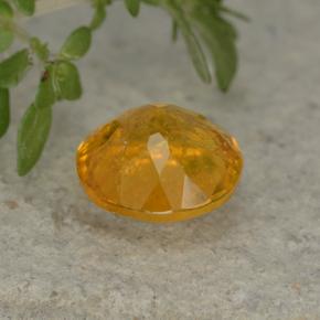 Clinohumite Amarillo dorado natural de 1.35 ct, Corte Redondo, VS-SI