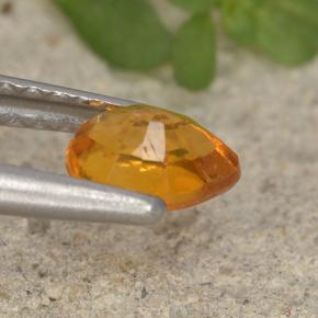 Clinohumite Naranja amarillo natural de 0.43 ct, En forma de pera, VS-SI