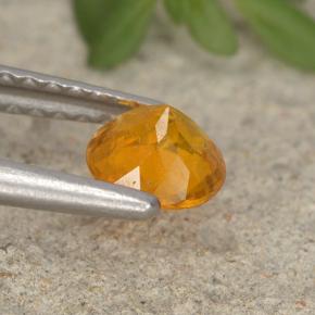 Clinohumite Naranja amarillo natural de 0.46 ct, Corte Redondo, VS-SI
