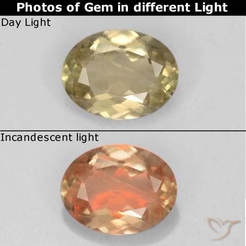0.65ct Natural Amarillo dorado claro Diásporo con Cambio de Color, Ovalada, VS