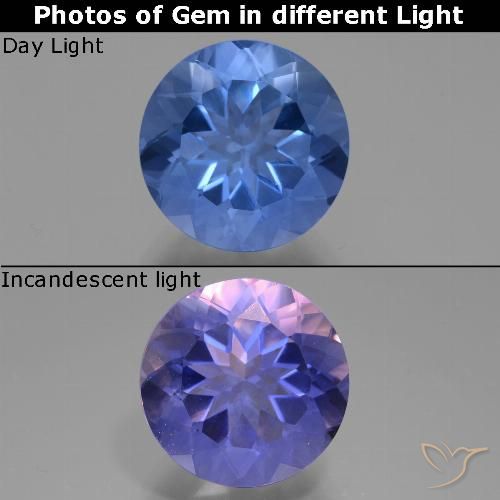 11.61ct Natural Azul oscuro Fluorita que cambia de color, Redondo, VVS-VS