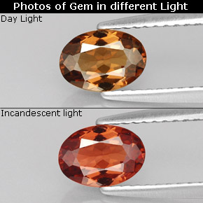 Granate con cambio de color  natural de 0,91 ct, corte óvalo, VS