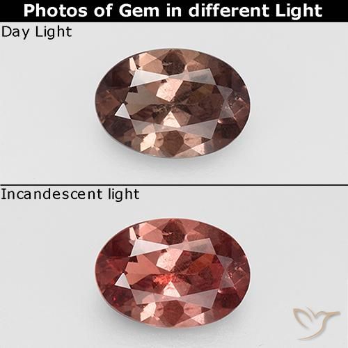 0.74ct Natural Marrón nogal Granate que cambia de color, Ovalada, VS