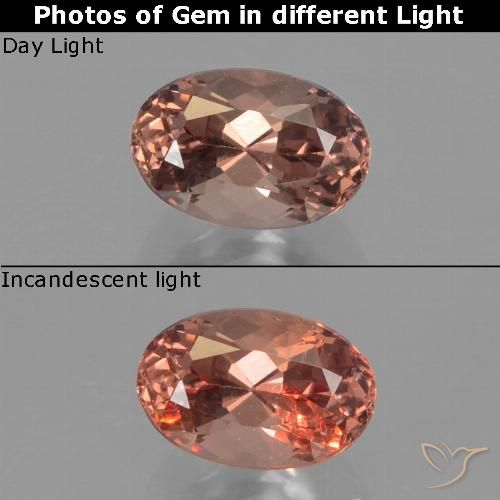 0.73ct Natural Marrón nuez Granate que cambia de color, Ovalada, VVS-VS