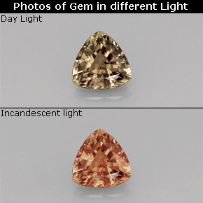 Granate que cambia de color Marrón/naranja verdoso natural de 0.72 ct, Trillón, VS