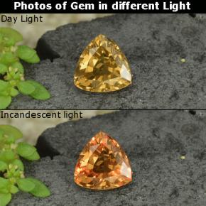 Granate que cambia de color Amarillo dorado natural de 0.78 ct, Trillón, VS