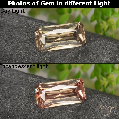 0.61ct Natural Marrón-oro Granate que cambia de color, corte esmeralda, VVS-VS