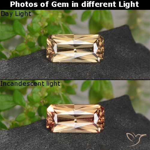 0.62ct Natural Marrón-oro Granate que cambia de color, corte esmeralda, VVS-VS
