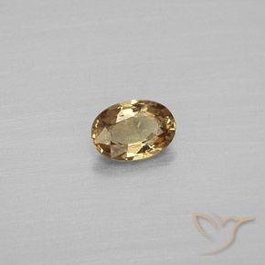 Granate que cambia de color Marrón-oro natural de 0.57 ct, Ovalada, VVS
