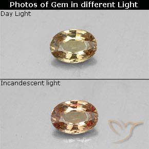 0.50ct Natural Marrón-oro Granate que cambia de color, Ovalada, VVS-VS