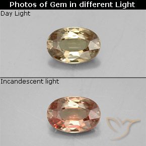 0.58ct Natural Marrón-oro Granate que cambia de color, Ovalada, VVS-VS