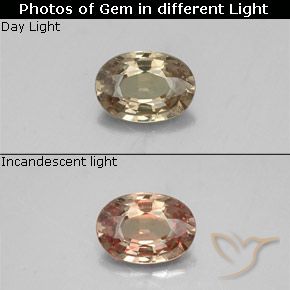 0.52ct Natural Marrón-oro Granate que cambia de color, Ovalada, VS-SI