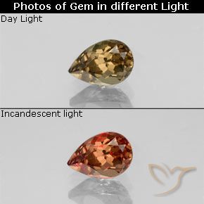 0.61ct Natural Marrón-oro Granate que cambia de color, En forma de pera, VVS-VS