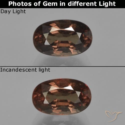 2.64ct Natural Marrón medio Granate que cambia de color, Ovalada, VS