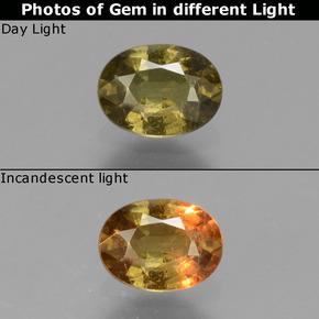 Granate con cambio de color multicolor natural de 0,73 ct, corte óvalo, VS