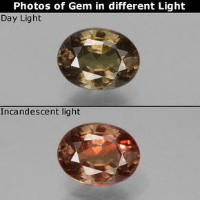 Granate con cambio de color marrón natural de 0,89 ct, corte óvalo, VS