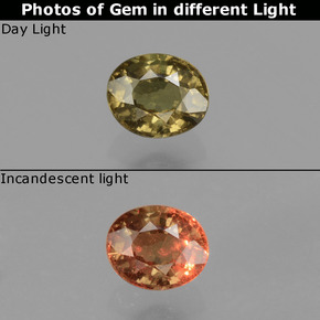 Granate con cambio de color multicolor natural de 0,57 ct, corte óvalo, VS