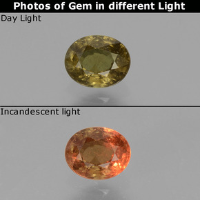 Granate que cambia de color Marrón oscuro medio natural de 0.55 ct, Corte Óvalo, VS