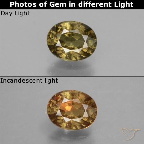 0.85ct Natural Marrón oscuro medio Granate que cambia de color, Ovalada, VS-SI