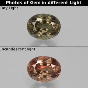 Granate que cambia de color Marrón oscuro natural de 0.98 ct, Corte Óvalo, VS