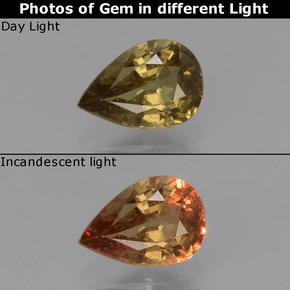 Granate que cambia de color Marrón a rosado rojizo verdoso natural de 0.61 ct, En forma de pera, VS