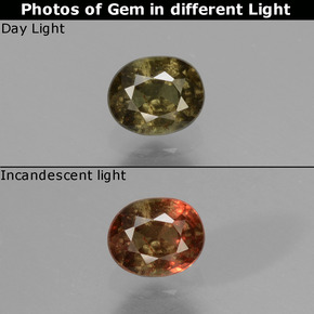 Granate con cambio de color multicolor natural de 0,53 ct, corte óvalo, VS