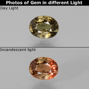 Granate con cambio de color marrón natural de 0,77 ct, corte óvalo, VS