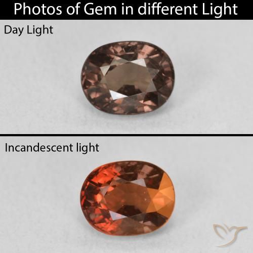 1.57ct Natural Marrón claro medio Granate que cambia de color, Ovalada, VVS-VS