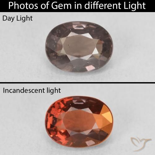 1.58ct Natural Marrón claro medio Granate que cambia de color, Ovalada, VVS-VS