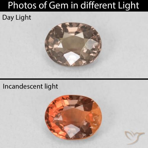 0.79ct Natural Marrón claro medio Granate que cambia de color, Ovalada, VVS-VS
