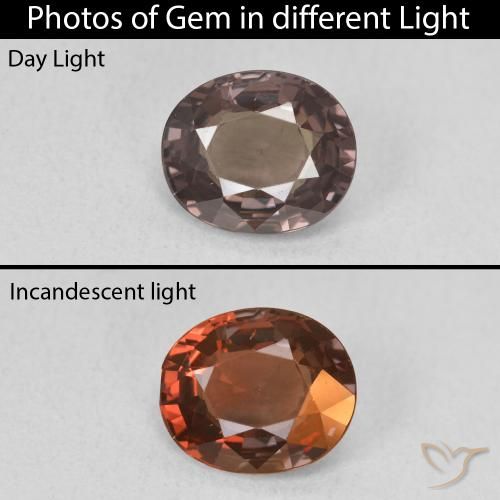 1.76ct Natural Marrón claro medio Granate que cambia de color, Ovalada, VVS-VS