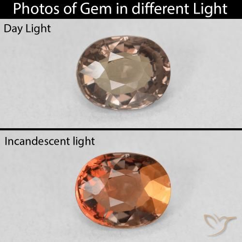 1.05ct Natural Marrón claro medio Granate que cambia de color, Ovalada, VVS-VS