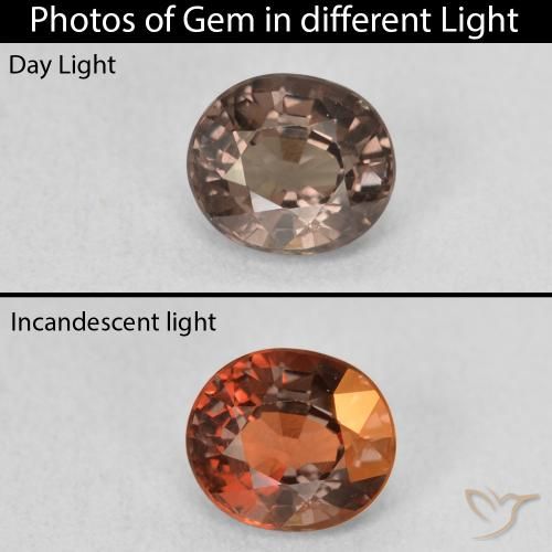 1.24ct Natural Marrón claro medio Granate que cambia de color, Ovalada, VVS-VS