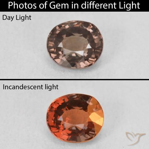 1.07ct Natural Marrón claro medio Granate que cambia de color, Ovalada, VVS-VS