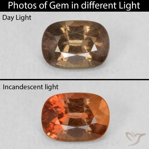 1.08ct Natural Marrón oscuro Granate que cambia de color, Ovalada, VS