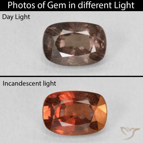 1.58ct Natural Marrón claro medio Granate que cambia de color, Forma Cojín, VS