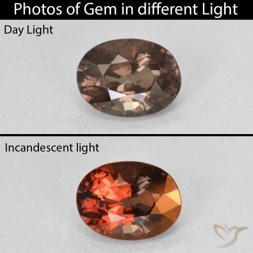 1.25ct Natural Marrón claro medio Granate que cambia de color, Ovalada, VS