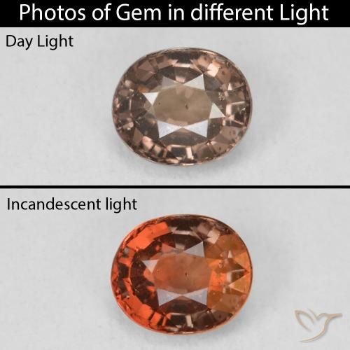1.37ct Natural Marrón claro medio Granate que cambia de color, Ovalada, VS