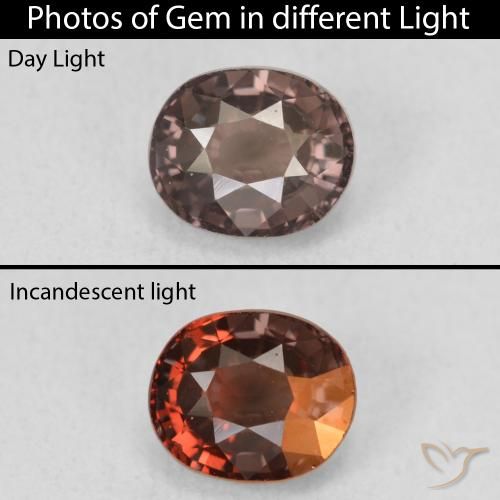 1.50ct Natural Marrón claro medio Granate que cambia de color, Ovalada, VS