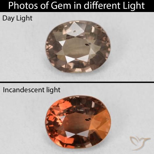 1.23ct Natural Marrón claro medio Granate que cambia de color, Ovalada, VS