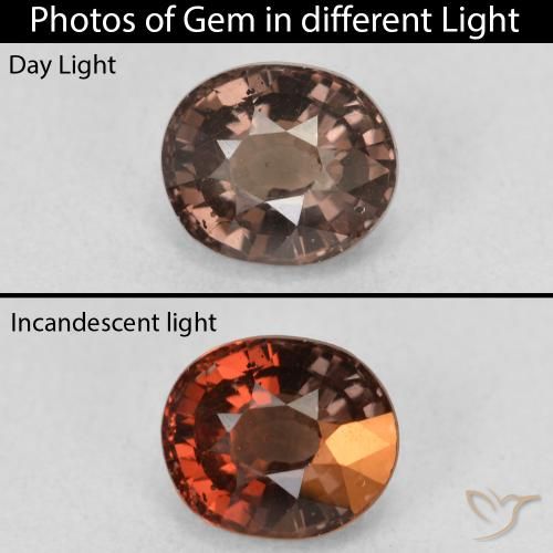 1.60ct Natural Marrón claro medio Granate que cambia de color, Ovalada, VS