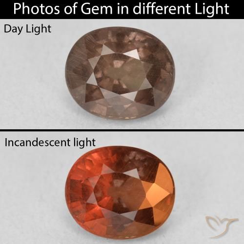 1.44ct Natural Marrón claro medio Granate que cambia de color, Ovalada, VS